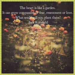 the-heart-is-like-a-garden